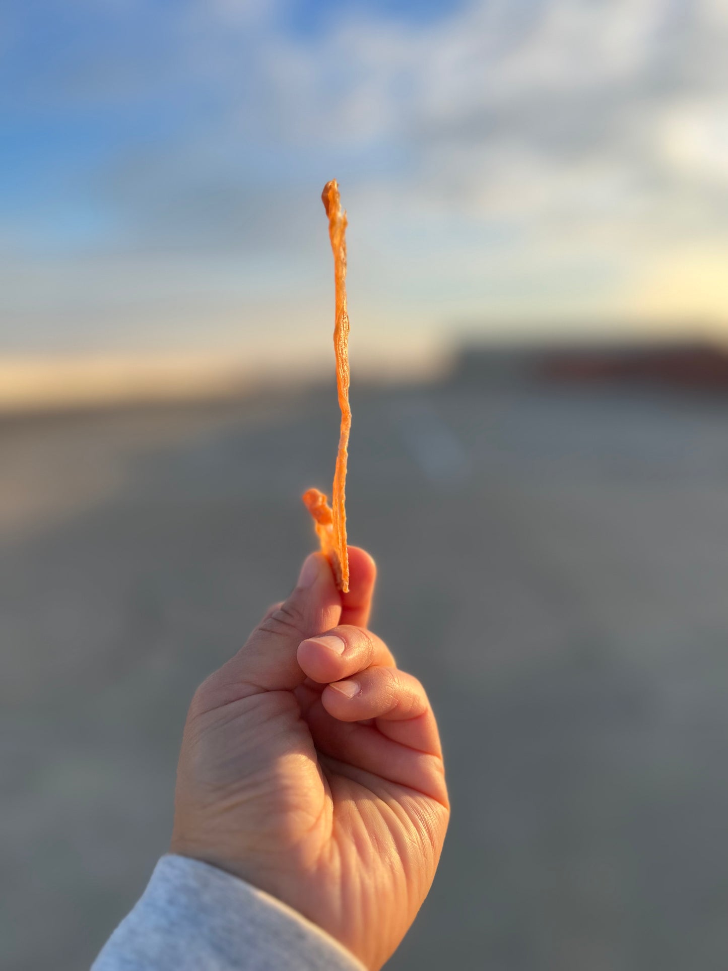 Chicken Chips (aka. ultra thin jerky)