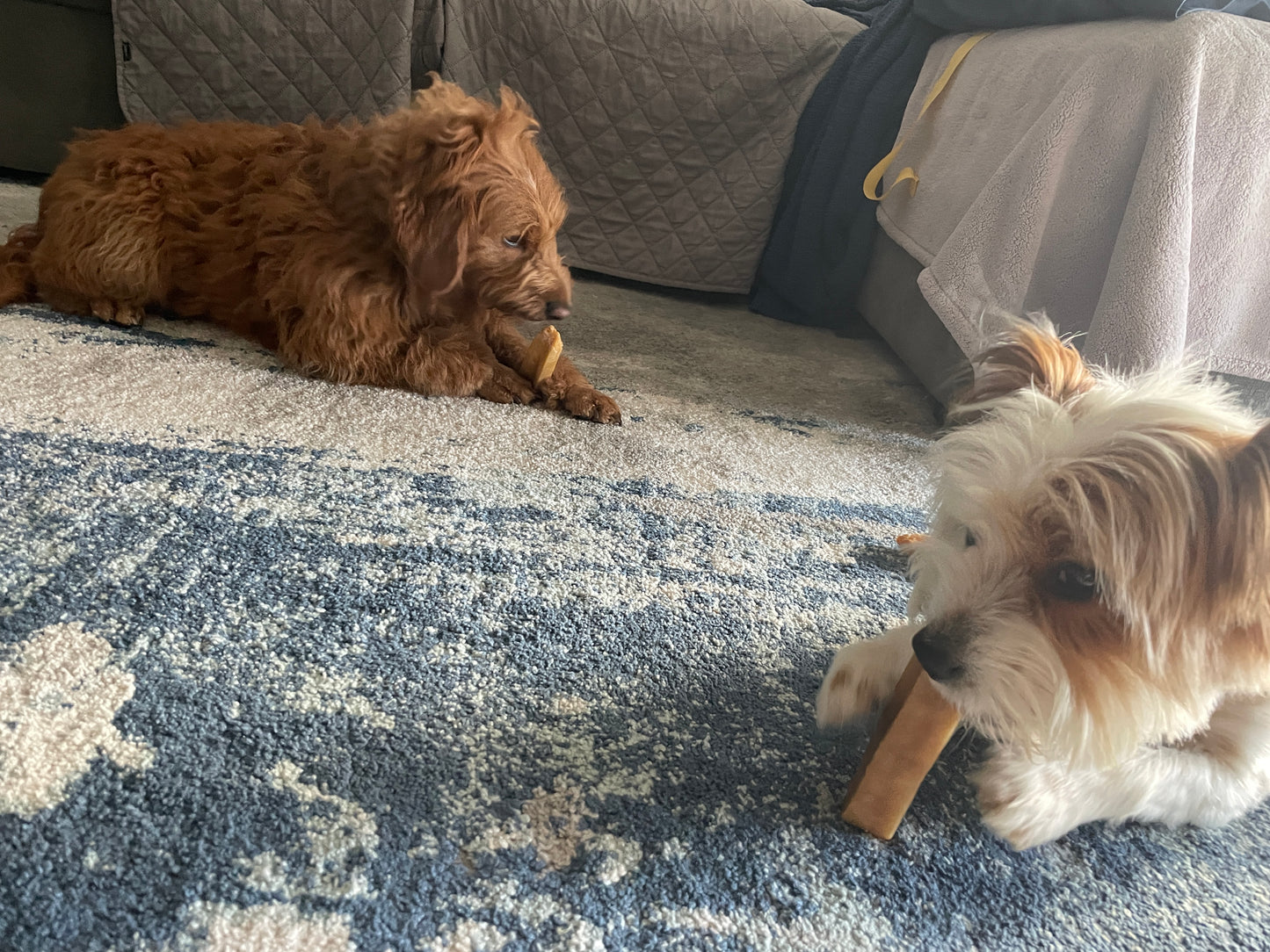 Cheese Chews