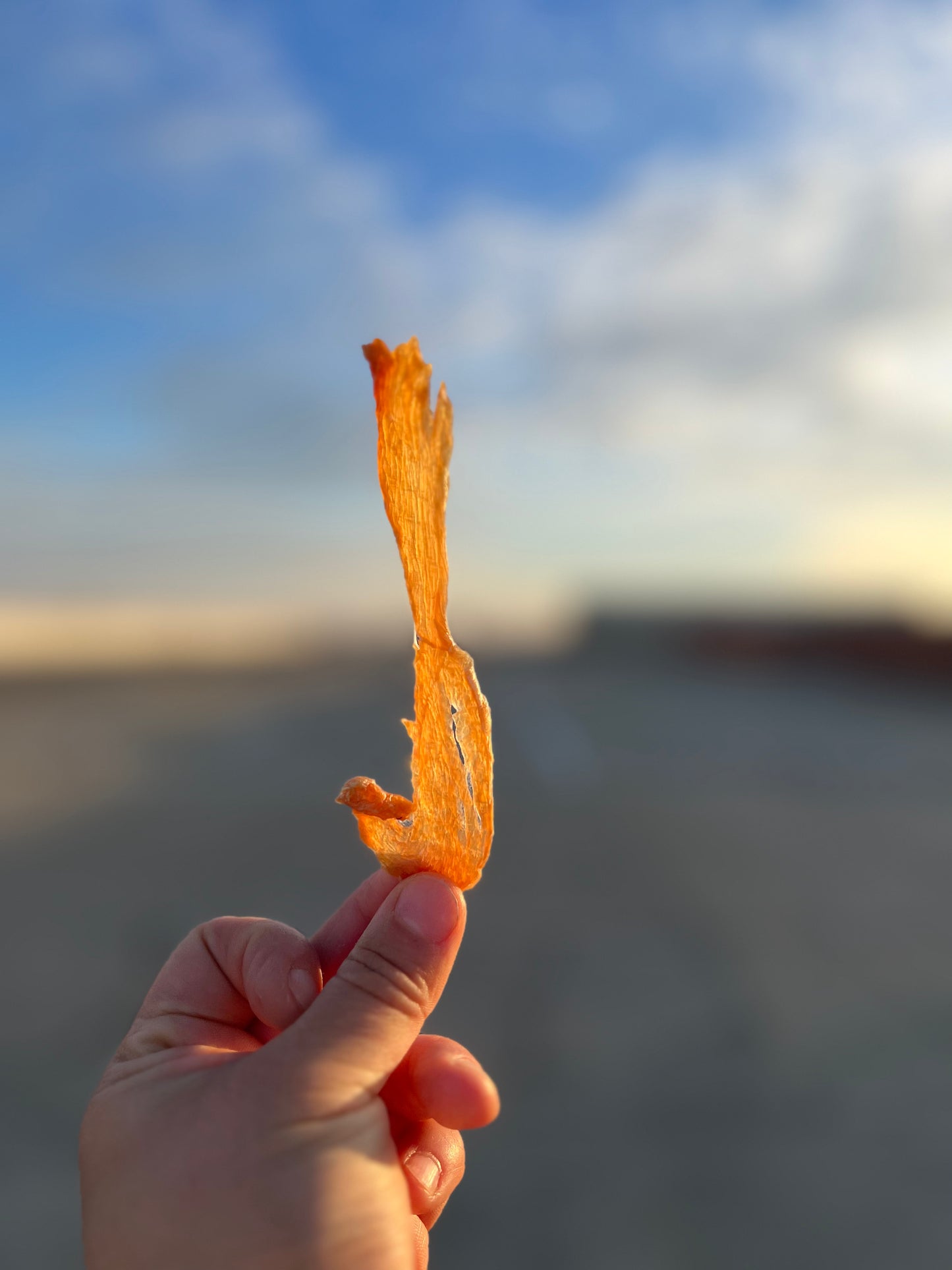 Chicken Chips (aka. ultra thin jerky)