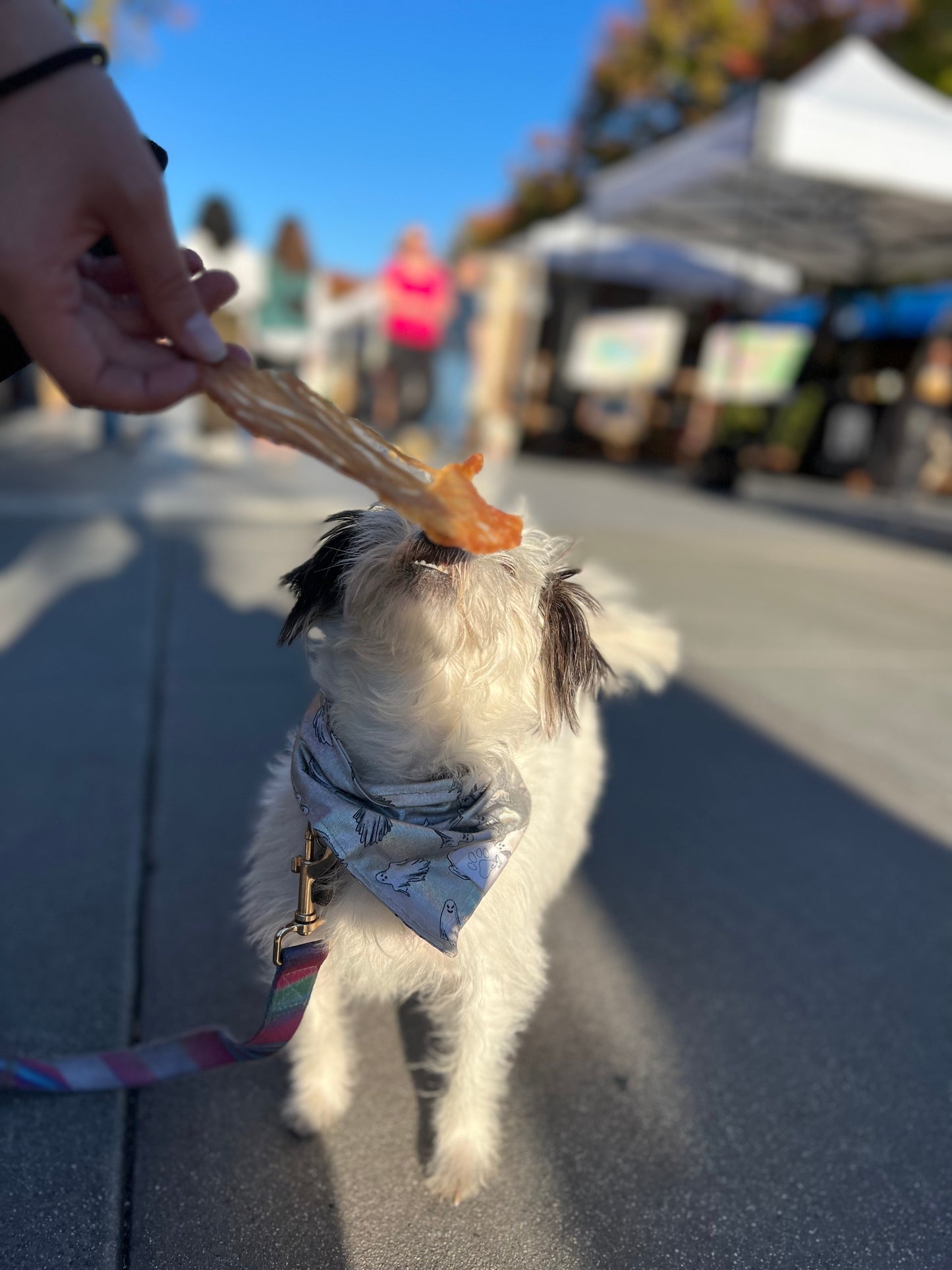 Turkey Chips (aka. ultra thin jerky)