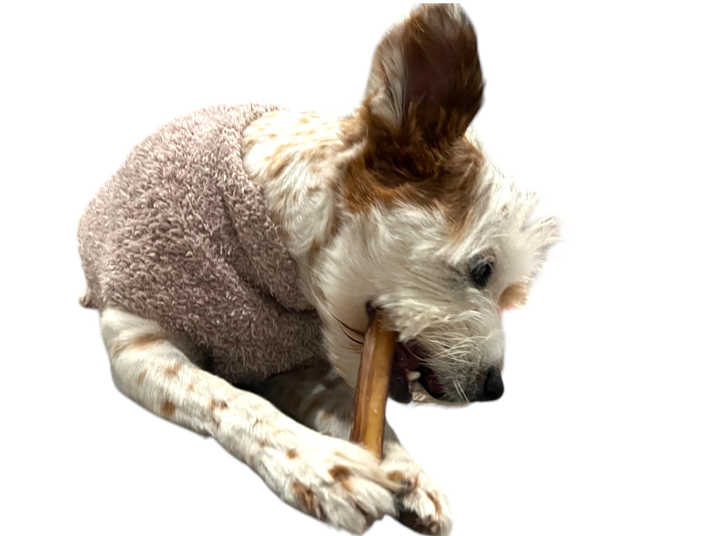 Bully Sticks