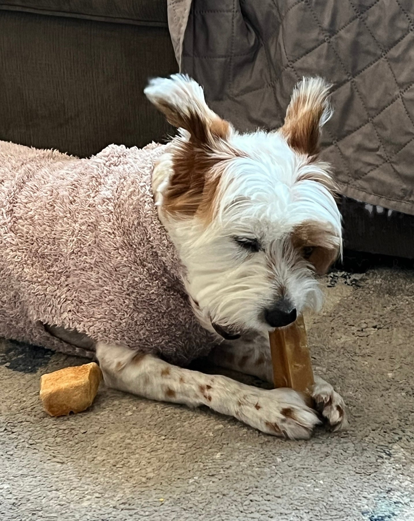 Cheese Chews