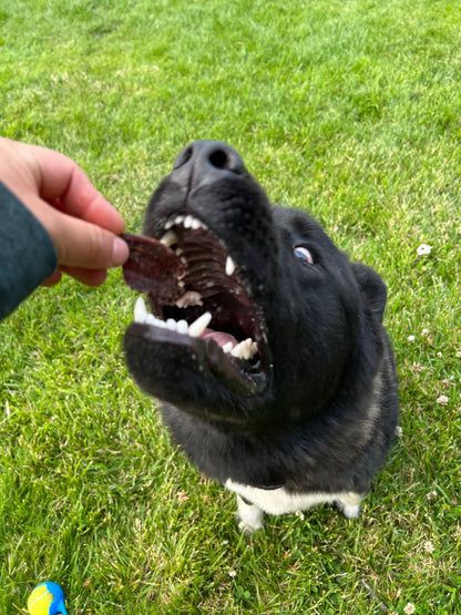 Beef Chips (ultra thin jerky)