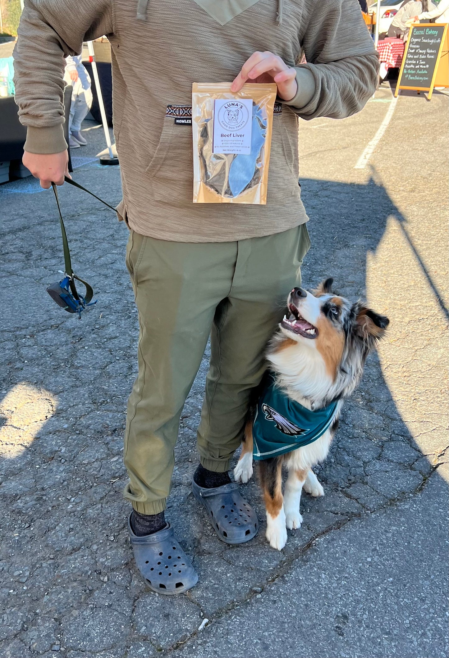 Beef Liver Chips (ultra thin jerky)