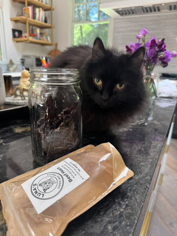 Beef Heart Chips (ultra thin jerky)