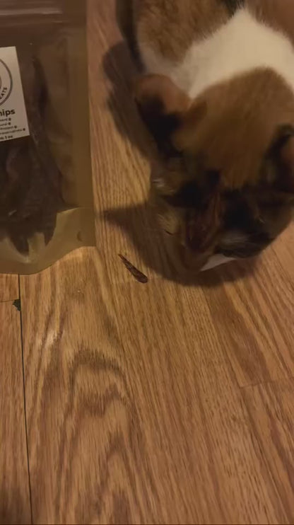 Duck Chips (ultra thin jerky)