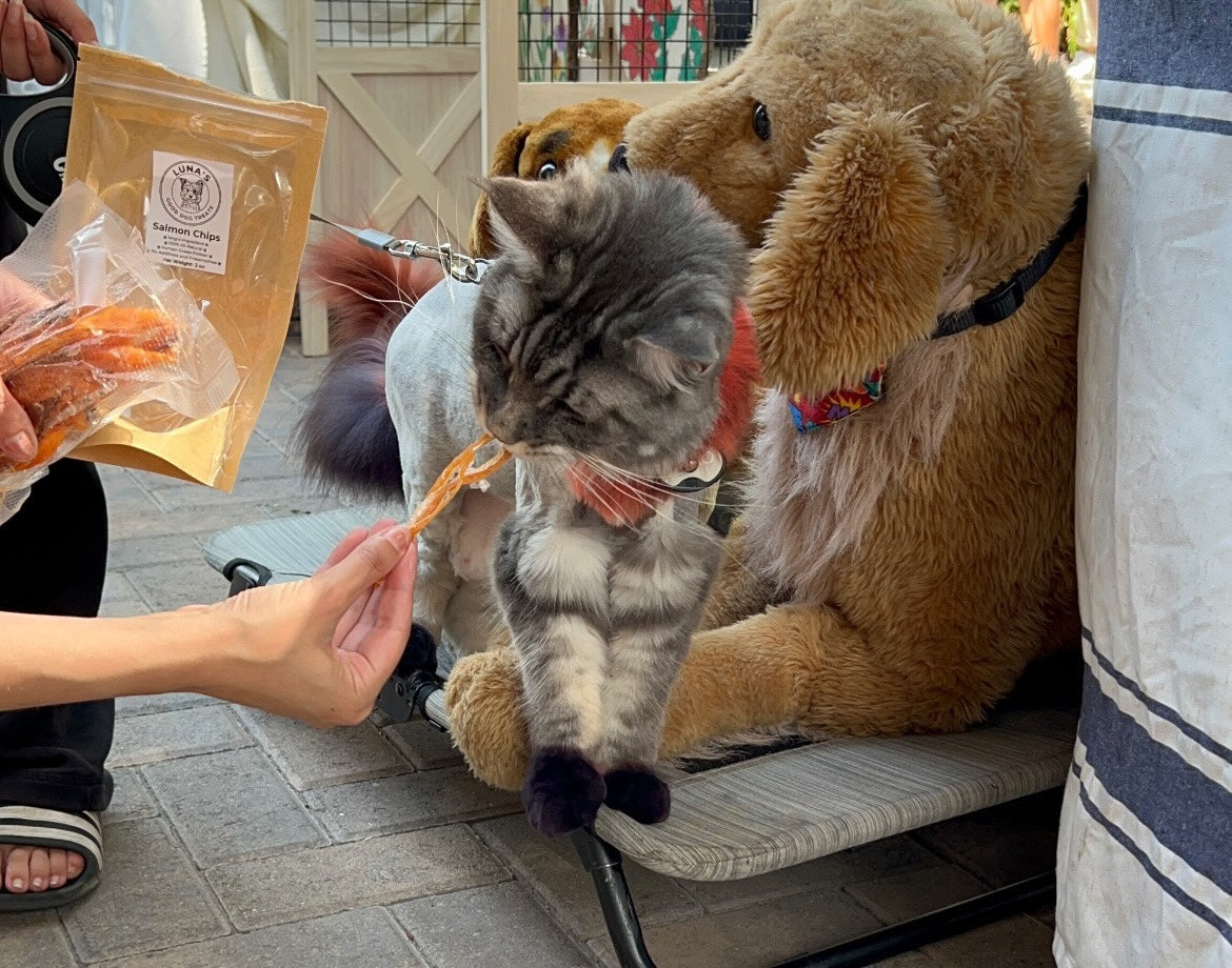 Salmon Chips (ultra thin jerky)