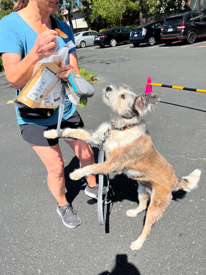 Salmon Chips (ultra thin jerky)
