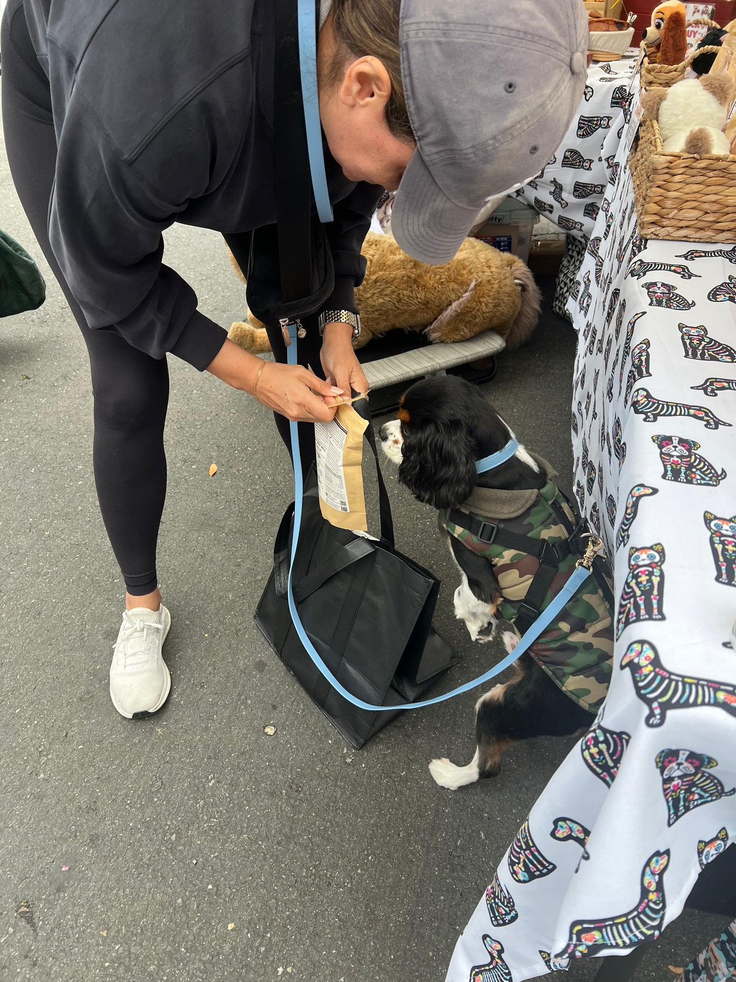 Venison Chips (ultra thin jerky)