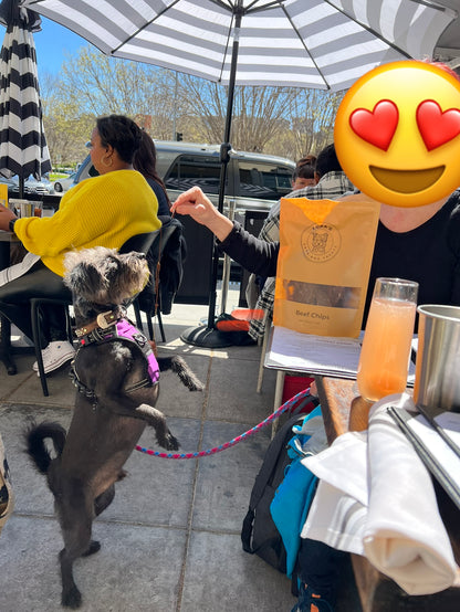 Beef Chips (ultra thin jerky)