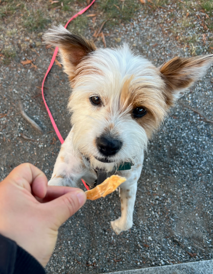 Chicken Chips (ultra thin jerky)